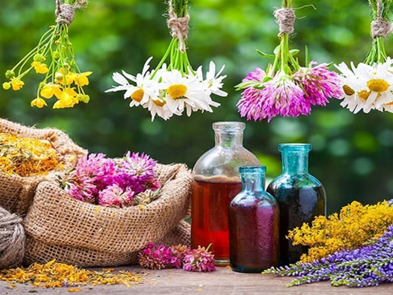 طب سنتی میراثی برای زندگی سالم