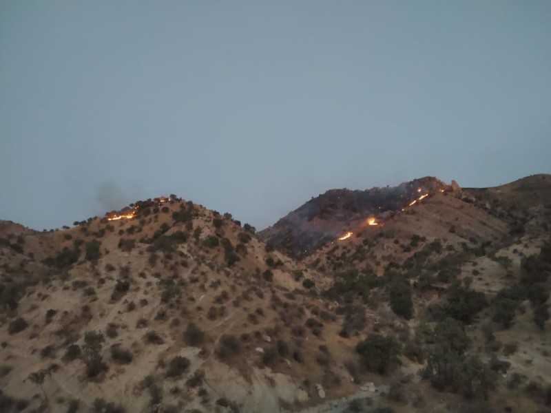 آتش‌سوزی جنگل‌های روستای بانروشان مهار شد