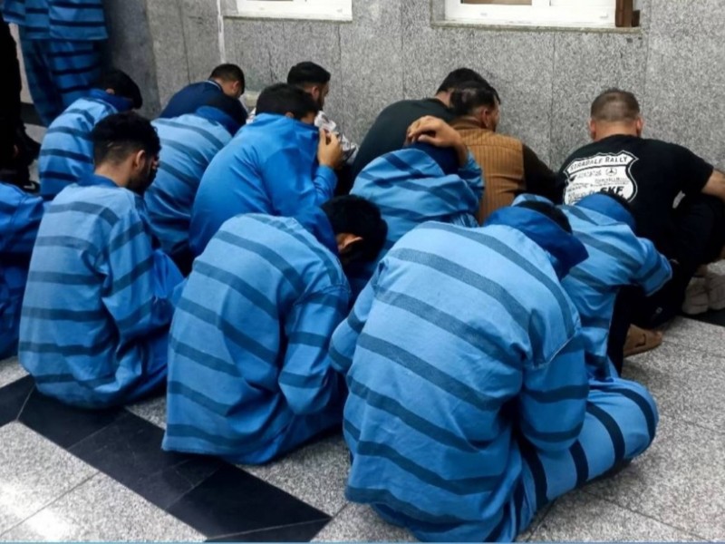 12 سارق حرفه ای در ایلام دستگیر شدند